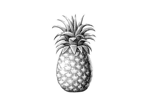 revised pineapple art